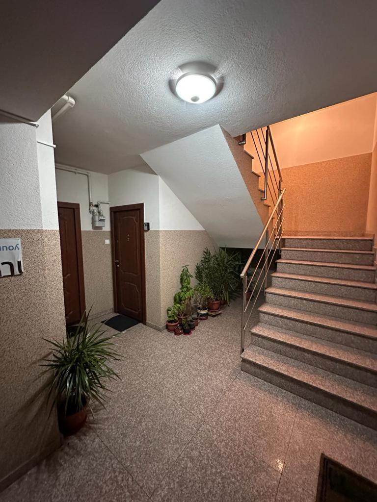Marului Residence Bucarest Extérieur photo